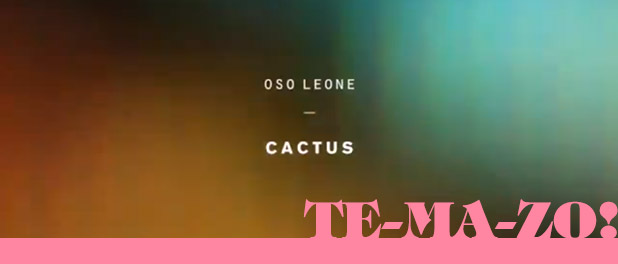 oso-leone-cactus