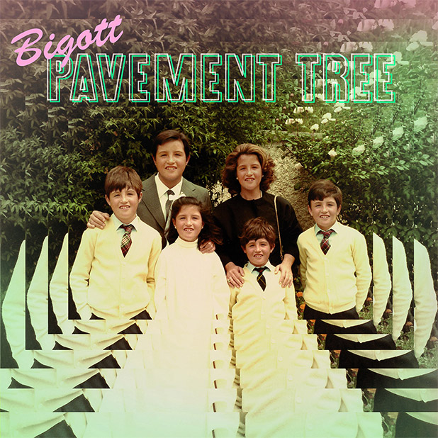 bigott-pavement-tree