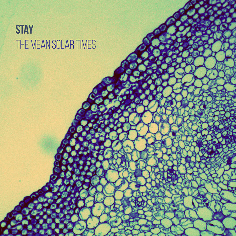 Stay: "The Mean Solar Times"
